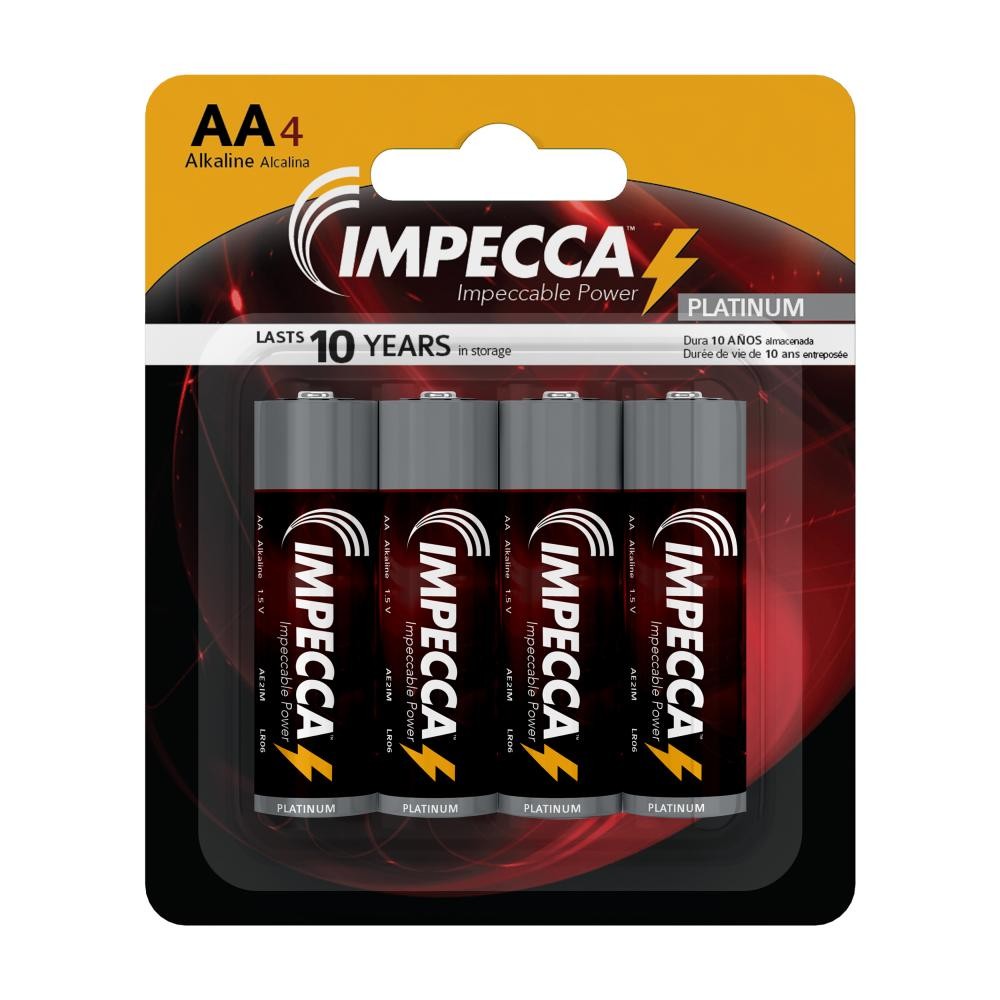 AA Alkaline Batteries - 100 Pack