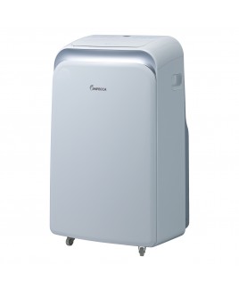 12,000 BTU/h Dual Hose Portable Room Air Conditioner