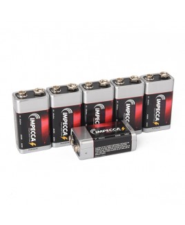 Alkaline 9-Volt 6LR61 Platinum Batteries 6-Pack