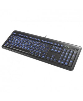 Large Font Illuminated Keyboard