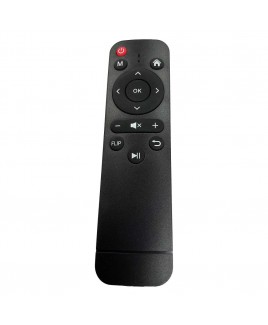 VP-302 Remote Control